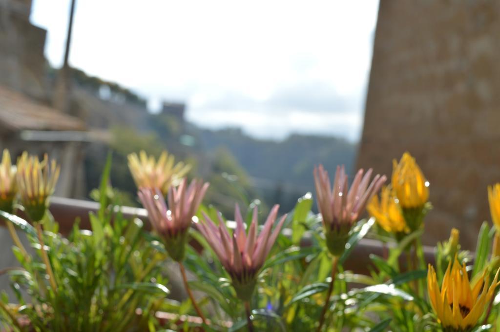 Casa Dei Lavatoi Pitigliano Appartement Buitenkant foto